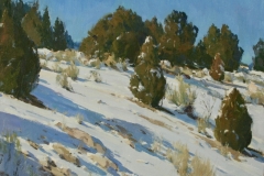 Junipers and Snow 12x16