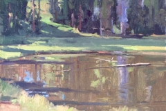 Pond Reflections 11x14